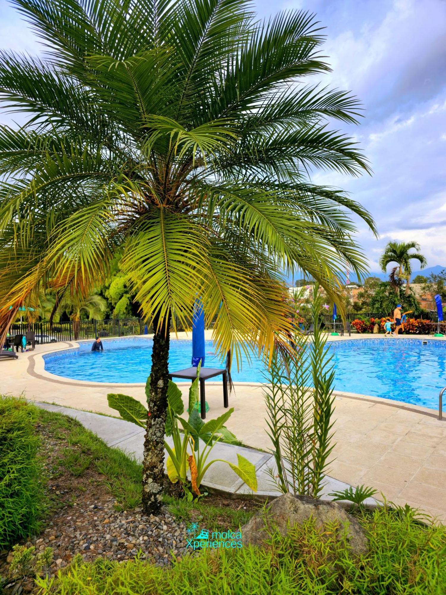 Apartamento Privado Vacacional A 5M Del Aeropuerto, 20 Minutos Del Parque Del Cafe Y Centro De Armenia Con 4 Piscinas, 3 Jacuzzi, Sauna By Molca Xperiences 3H Eksteriør bilde
